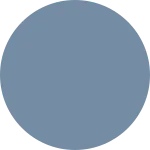 Circle S SVG Icon